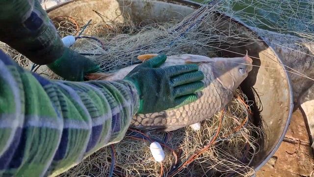 Я шокирован уловом! Два года искал такую рыбалку! Мечта рыбака сбылась! смотреть онлайн