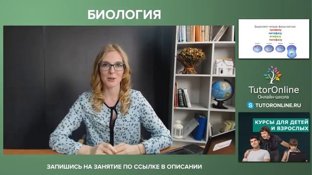 Биология| Жизненный цикл клетки. Митоз. смотреть онлайн