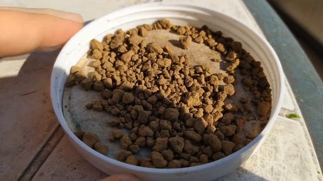 Почва для бонсай. Советы по выбору грунтовых смесей для выращивания бонсай смотреть онлайн