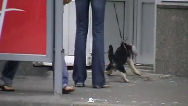 Заткните эту собаку! смотреть онлайн