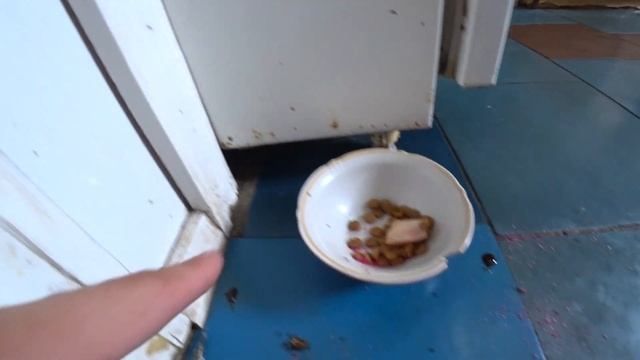 Как избавиться от муравьев в квартире смотреть онлайн