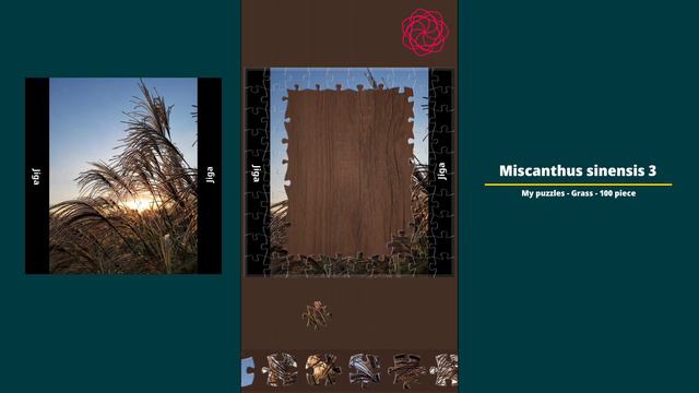 [Jigsaw Puzzles] My Puzzles - Miscanthus Sinensis 3 - 100 Piece