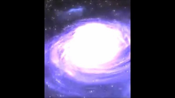 Dima Dark-Forest 28 видео ролик (7.04.2023)