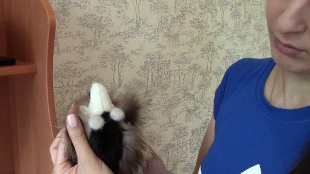 Сувенир, Ежик Коричневый смотреть онлайн