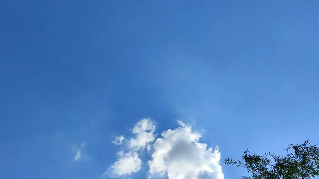 Не заставляйте ждать любимых слишком долго смотреть онлайн