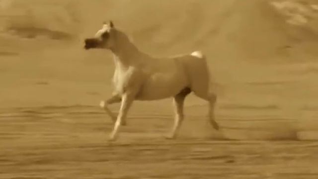 Jeanne Aster - My Window Жанна Астер Моё окно смотреть онлайн