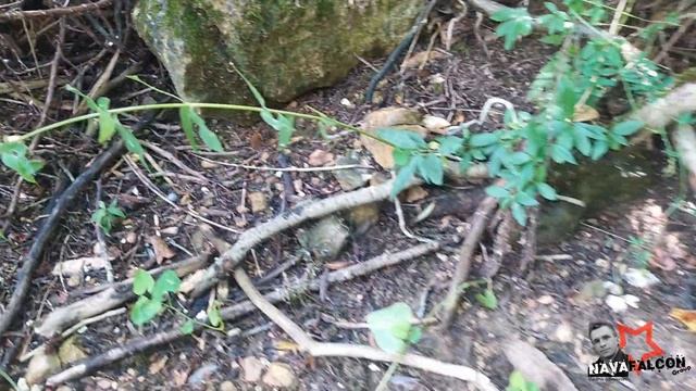 АЯНСКОЕ ВОДОХРАНИЛИЩЕ 2 смотреть онлайн