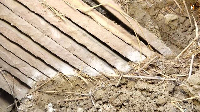 जब सामने आई दिल दहला देने वाली घटना, जहरीले सर्प ने पूरे परिवार को मौत के घाट उतार दिए? Cobra vs Do смотреть онлайн