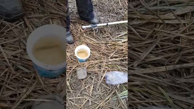 Маленькая рыба. смотреть онлайн