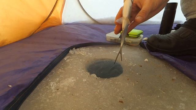 ЗИМНЯЯ РЫБАЛКА 2022!! ДУМАЛ ПРОЛЕТЕЛ, А ПОТОМ КАК ПОПЁРЛО СО ВСЕХ ЛУНОК!!! смотреть онлайн