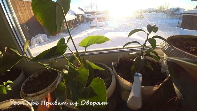 Полезное видео для тех кто планирует переезжать за город смотреть онлайн