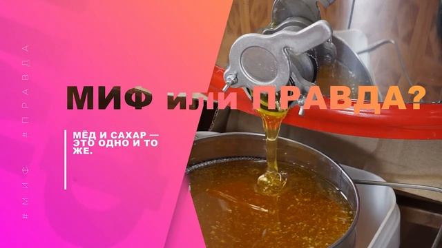 МИФ ИЛИ ПРАВДА? Выпуск 15 | Выпадение волос? | Мёд и сахар одно и то же? | Луна влияет на человека? смотреть онлайн