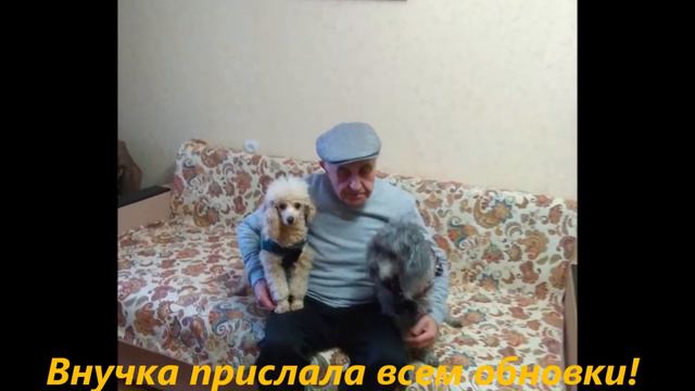 Молли и Авва осень 2018- весна 2019 смотреть онлайн