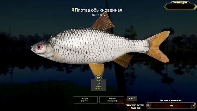 НОЧНАЯ РЫБАЛКА 4 (Russian Fishing 4) ? Рыбалка. Байки | СТРИМчанский смотреть онлайн