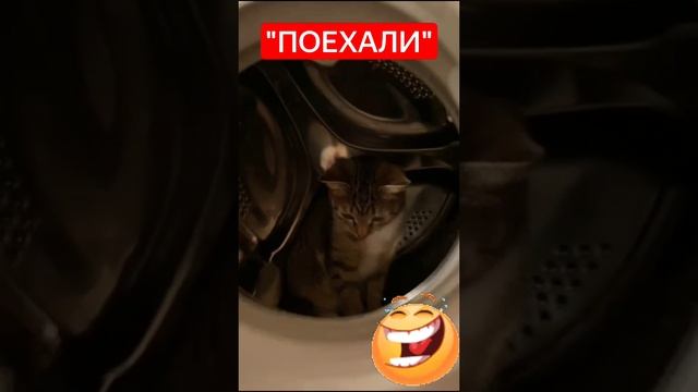 ПОЕХАЛИ.??? смотреть онлайн