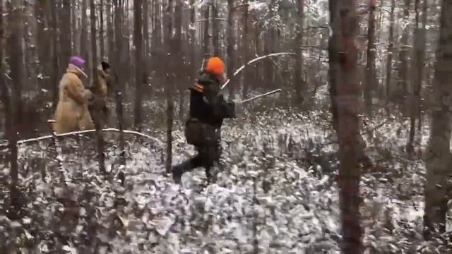 Поиски Влада Бахова, 29.01.2020. Штаб, лесной поиск. ПСО Сальвар. смотреть онлайн