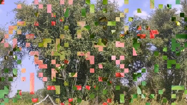 Полнолуние 21 сентября 2021. "Урожайная "Луна. Что нужно успеть сделать. В чем опасность...Фазы лун смотреть онлайн