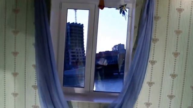 Перевёрнутый дом. Дом вверх дном. Краснодар. смотреть онлайн