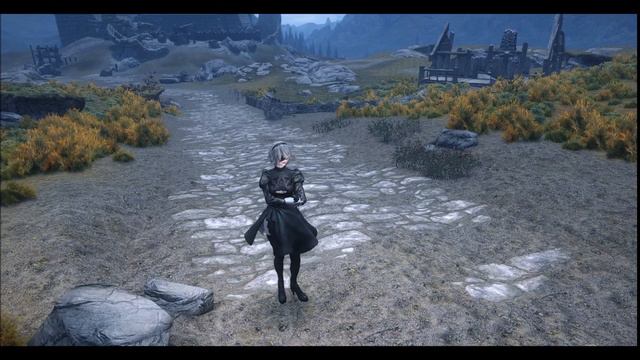 PC SKYRIM T_KUKU's animation :mixamo motion arrange [MOD DL] смотреть онлайн