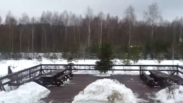 Охотхозяйство озерное вышли покурить а там..... смотреть онлайн