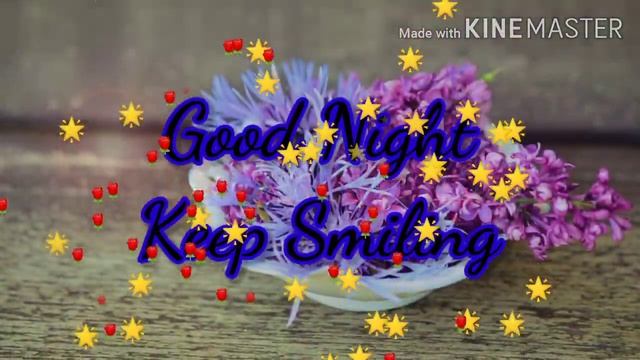 Good Night YouTube Video With Beautiful Flower Images Photos And Music Share On Social Networks