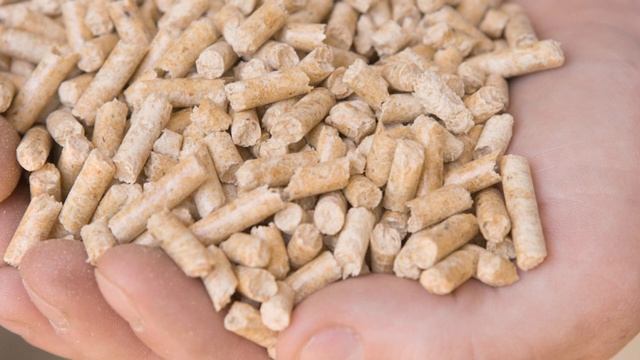 Несколько способов, которые помогут избавиться от неприятного запаха в обуви