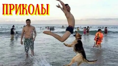 лучшие приколы.подборка смешные видео. смотреть онлайн