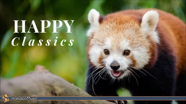 Happy Classical Music смотреть онлайн