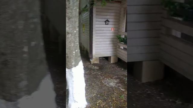 Домики на базе отдыха Бирюза Юг смотреть онлайн