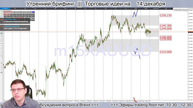 🌅 Утренний брифинг | 14 декабря | 📈Прогноз рынка FOREX, FORTS, ФР смотреть онлайн