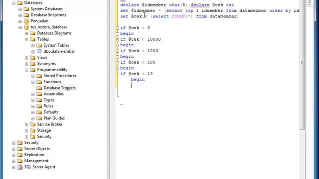 AutoGenerateID Sql ServerProcedure and Trigger with Vb net смотреть онлайн
