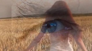 Букет ромашек. Автор Марина Яныкина. Стихи о жизни.