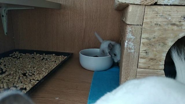 Концепция канала 