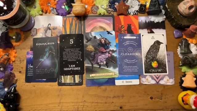 What Dream of Yours is Simply Meant to Be??? Pick a Card In-Depth Timeless Reading смотреть онлайн