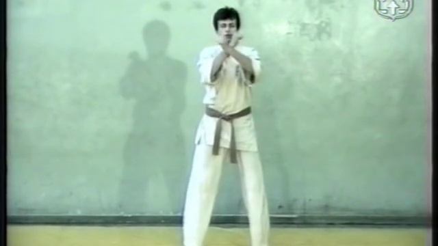 Техника КИОКУШИНКАЙ 2 часть 17 смотреть онлайн