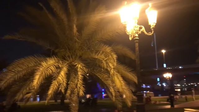 Sharjah Central Souq | Garden In Sharjah | Souq Mosque In Sharjah