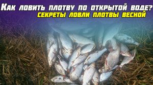 Как ловить плотву в марте по открытой воде? Секреты ловли плотвы весной.
