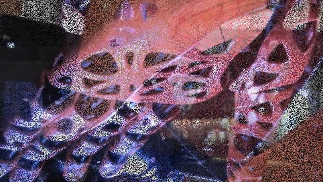 А.Г.Огнивцев НСНБР. Арт HybridArt Lexus медитация. Создающий чувства. Манеж. Выставка. Август 2013. смотреть онлайн