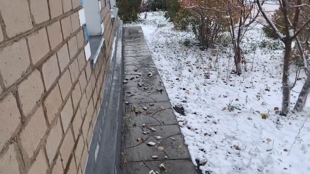 Выпал снег. Первый снеговик в этом году. Отмостка своими руками, результат