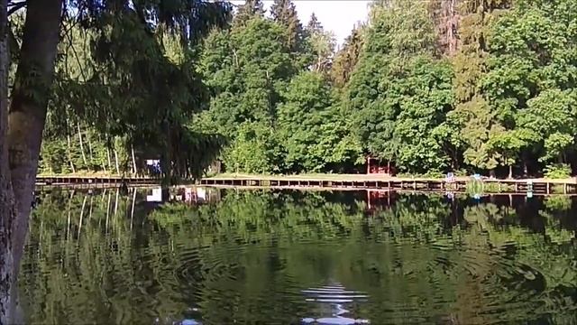 Утренний обзор с нижнего водоёма. Клёвое место, Лосиный остров. смотреть онлайн
