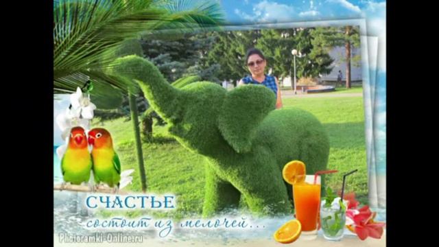 Альфия юбилей 55 смотреть онлайн