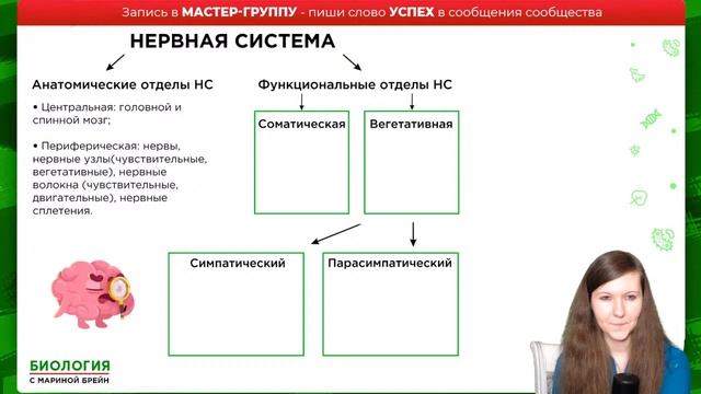 ВСЯ НЕРВНАЯ СИСТЕМА | ЕГЭ ПО БИОЛОГИИ смотреть онлайн