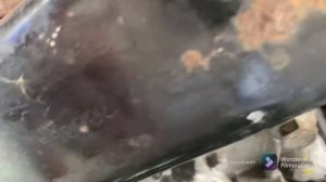 p0726 ошибка ,датчика коленчатого вала WV-t5  2,5 TDI  131-174 л.с.