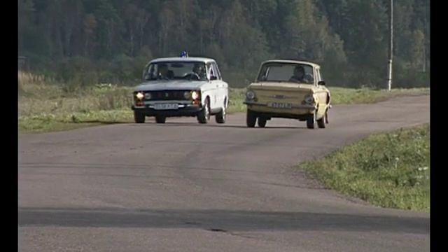 Zebra 01 смотреть онлайн