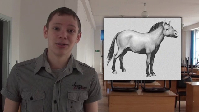 ПРОЕКТ ОПРА (№5): Всемирный День Космонавтики