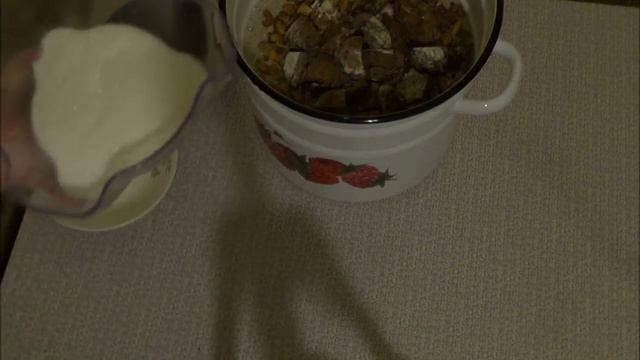 Домашние Животные и Их Уход