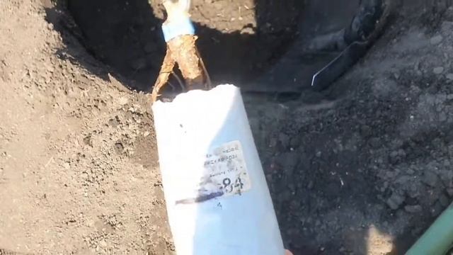 Питомник роз 