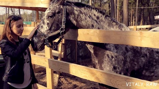 The Petting ZOO in Vnukovo Outlet Village смотреть онлайн