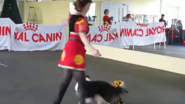 Лена и Рамзес "Ой, как он мне нравится!" смотреть онлайн