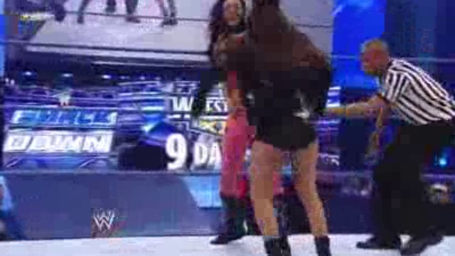 Kelly Kelly & Rosa Mendes Vs Michelle McCool & Layla 